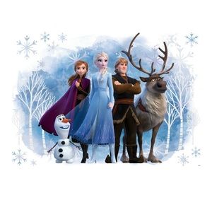 Disney Frozen Wall Decal